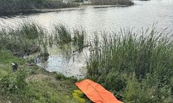 Sakarya'da gölette kadın cesedi bulundu