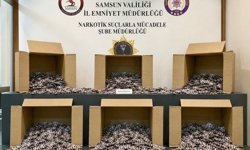 Samsun'da 172 bin 713 uyuşturucu hap ele geçirildi