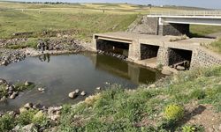 Şanlıurfa'da dereye giren çocuk boğulma tehlikesi geçirdi