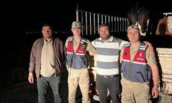 Şanlıurfa'da kaybolan kurbanlık 2 tosunu jandarma buldu