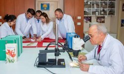 Selçuk Üniversitesi akademisyenleri 4 yeni bitki türü keşfetti