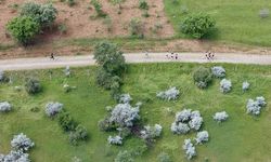 Siirt'te dağ koşuları milli takım seçmeleri yapıldı