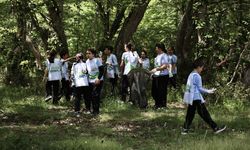 Sinop'ta ormanlık alanlardan yangına sebep olabilecek atıklar toplandı