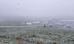 Şırnak'ın yüksek kesimlerinde kar etkili oldu
