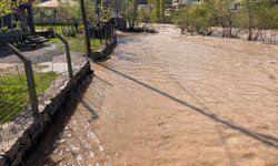 Şırnak'ta Habur çayı taştı, evleri su bastı