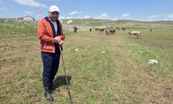 Sivas'ta çobanların suyla kaplanan meralarda zorlu mesaisi sürüyor