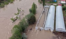 Sivas'ta Kelkit Nehri'nin taşmasıyla Akçağıl Köprüsü ve bazı seralar su altında kaldı
