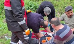 Sivas'ta mantar toplarken ayının saldırısına uğrayan kişi yaralandı