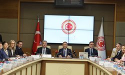 TBMM Dışişleri Komisyonu 4 kanun teklifini kabul etti