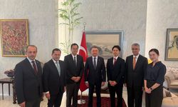 TBMM Dışişleri Komisyonu Başkanı Oktay'dan Türkiye-Japonya ekonomik potansiyelini artırma mesajı:
