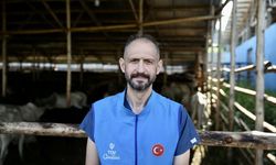 TDV, Uganda'da kurban kesimlerine başladı
