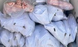 Tekirdağ'da 1500 kilogram iç yağ ve 140 kokoreç imha edildi