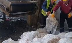 Tekirdağ'da ele geçirilen 1200 kilogram sağlıksız sakatat imha edildi