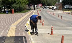 Tokat, Sinop, Amasya ve Kastamonu'da 'acemi kasaplar' hastanelik oldu