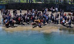 Trabzon'da yaylalara göçü temsil eden 'Mayıs 7'si Festivali' yapıldı