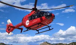 Tunceli'de ayı saldırısında yaralanan kişi ambulans helikopterle hastaneye ulaştırıldı