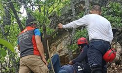 Tunceli'de rahatsızlanan astım hastası ormanlık arazide 750 metre sedyeyle taşındı