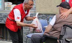 Türk Kızılaydan Kosova'da kurban bağışı