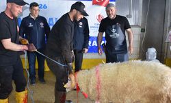 Türkiye Diyanet Vakfı, Afyonkarahisar'da 450 kurban hissesinin etini ihtiyaç sahiplerine ulaştıracak