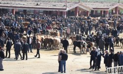 Türkiye'nin önemli hayvancılık merkezlerinden Ağrı'daki borsada Kurban Bayramı öncesi hareketlilik arttı