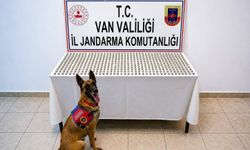 Van'da, midelerinde 3 kilo 374 gram esrar ele geçirilen 8 yabancı uyruklu yakalandı