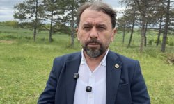 Yerli ayçiçeği tohumu pazar payını yüzde 15'e çıkardı