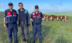 Yozgat'ta kaybolan 7 büyükbaş hayvan jandarma tarafından bulundu