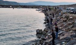 Zonguldak'ta olta balıkçıları bol miktarda istavrit avladı