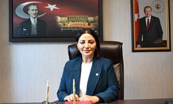 AK Parti'li Karslı, AYM'nin 'süresiz nafaka düzenlemesinin iptali' kararını değerlendirdi: