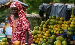 Batı Afrika'nın yükselen ekonomisi: Fildişi Sahili