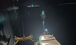 Blue Sapphire kruvaziyer gemisi personeli rahatsızlanınca Bodrum'a yanaştı