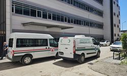 Çorum'da devrilen otomobildeki anne öldü, baba ve oğlu yaralandı