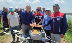 Edirne'de dronla 125 dekarlık arazide çeltik ekimi yapıldı