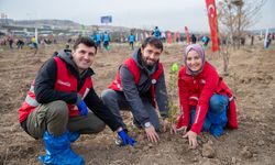 'Hastaya Kan, Ormana Can' projesiyle 4,7 milyon fidan toprakla buluştu