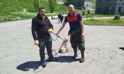 Kars Çayı'na düşen köpeği itfaiye kurtardı
