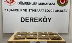 Kırklareli'nde uyuşturucu ticareti yaptığı iddia edilen Bulgaristan uyruklu 2 kadın tutuklandı
