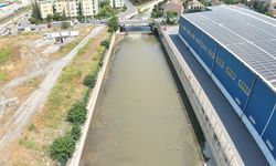 Küçükçekmece'de dereye karışan kirli su, suyun rengini değiştirdi