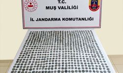 Muş'ta 749 sikke ele geçirildi