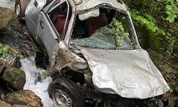 Ordu'da dereye yuvarlanan kamyonetteki 1 kişi öldü, 1 kişi yaralandı