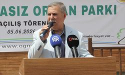 Sinop'ta 24 hektarlık alana sahip millet ormanı hizmete açıldı