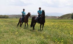 Van Gölü'nün 'incilerini' koruyan atlı jandarma timi ziyaretçilerin ilgi odağı oldu