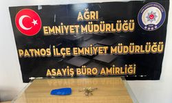 Ağrı'da hırsızlık iddiasıyla 2 kadın gözaltına alındı