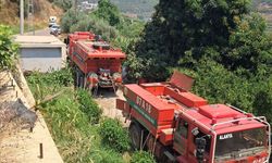 Alanya'da tarım alanında çıkan yangın söndürüldü