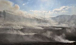 Çorum'da ormanlık alana sıçrayan yangına müdahale ediliyor
