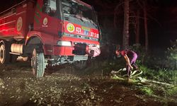 GÜNCELLEME - Kastamonu'da çıkan orman yangını kontrol altına alındı