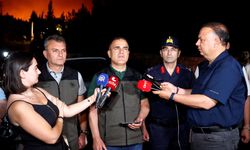 GÜNCELLEME - Milas'ta çıkan orman yangını 'büyük ölçüde' kontrol altına alındı