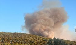 GÜNCELLEME - Milas'ta ormanlık alanda çıkan yangına müdahale ediliyor