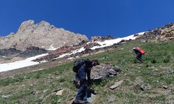 Hakkari'de haber alınamayan dağcı için arama çalışması başlatıldı