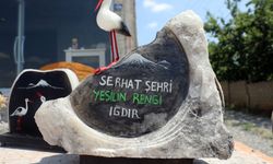 Iğdır'ın Tuz Dağı'ndan çıkarılan kayalar sanata dönüştürülüyor