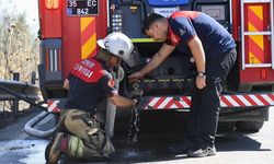 İzmir'de orman yangınında kurtarılan bukalemun doğaya bırakıldı